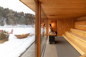 Sauna-with-view