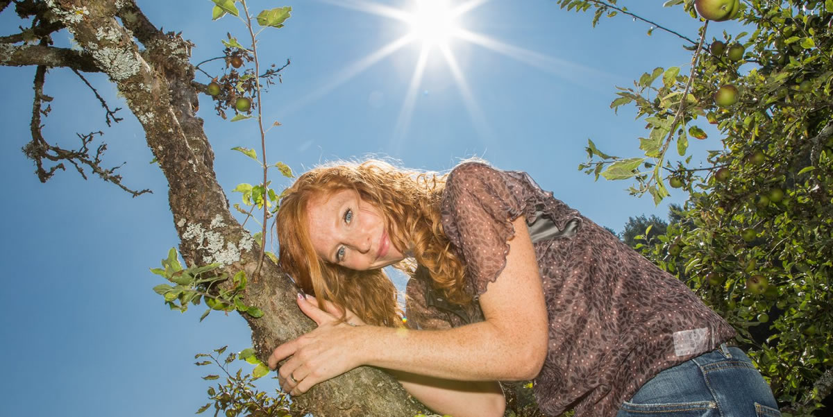 Relax on the apple trees