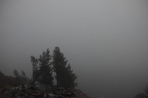 Hoch hinaus – Wandern auf dem Rittner Horn