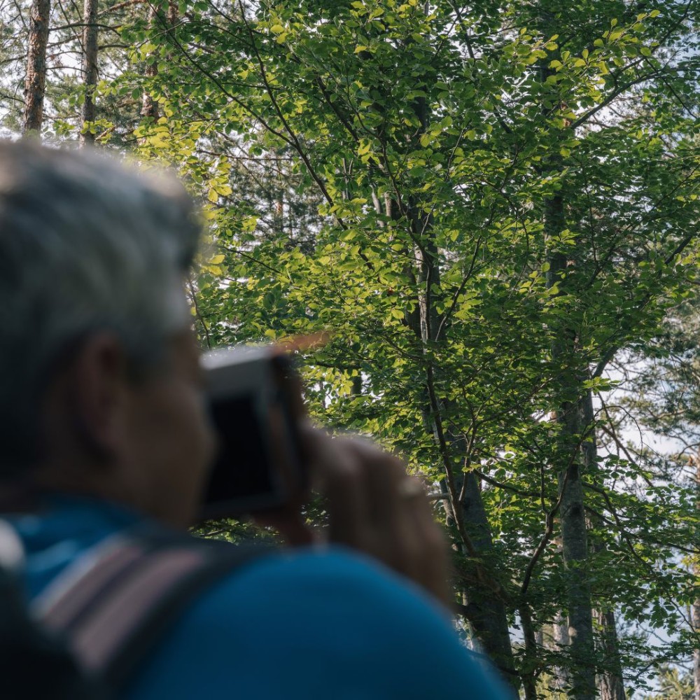 Momenti magici nel bosco