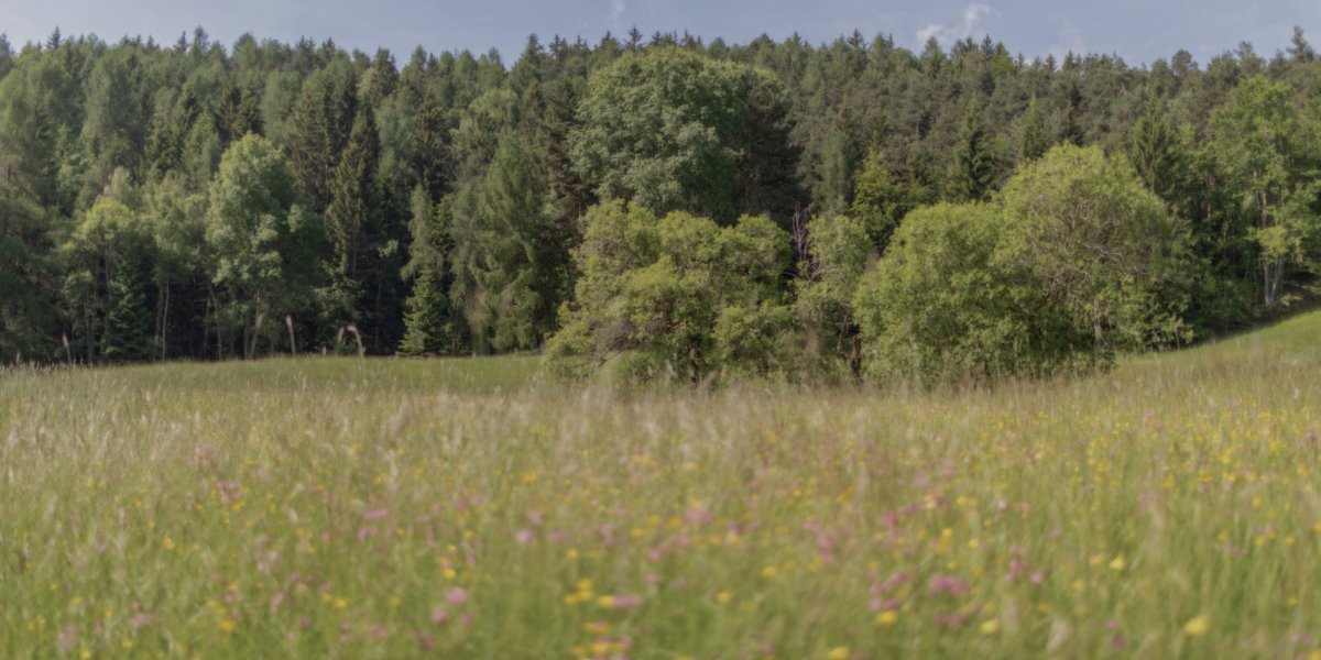 Sustainable hotel South Tyrol