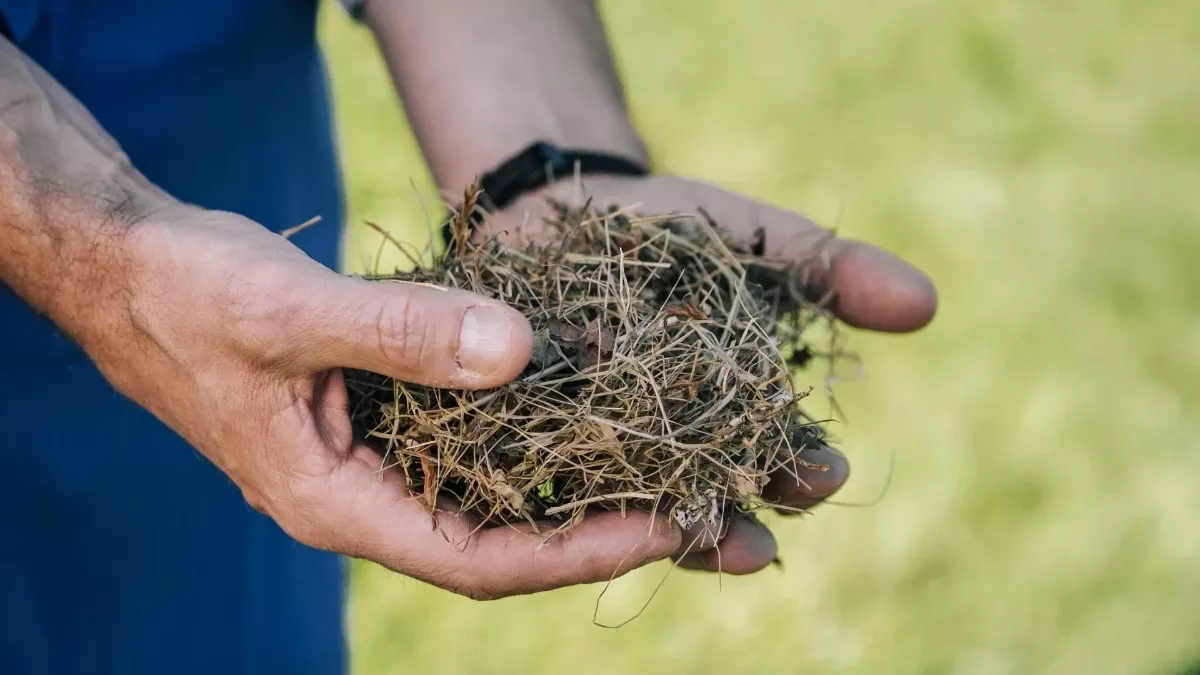 heu-haende-nachhaltigkeit-bergsea-weihrerhof-suedtirol